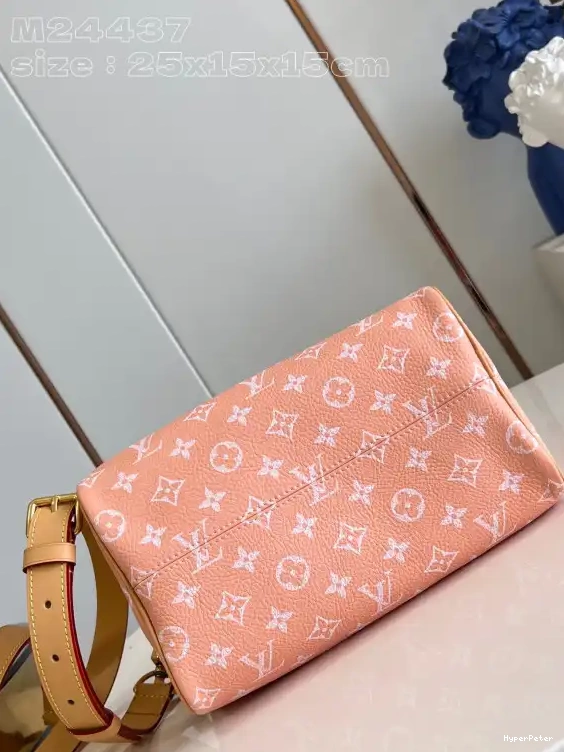 SPEEDY Louis Vuitton 25 0706